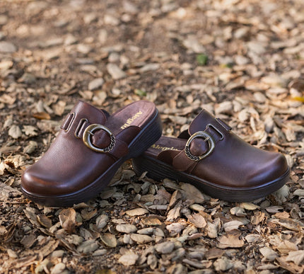 Alegria Osmosis Java Clog Leather Shoe Womens sizes 35-42 NEW