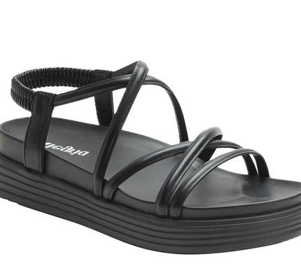 Alegria Audie Caviar Black Leather Strappy Sandal Women sizes EU 36-41 NEW