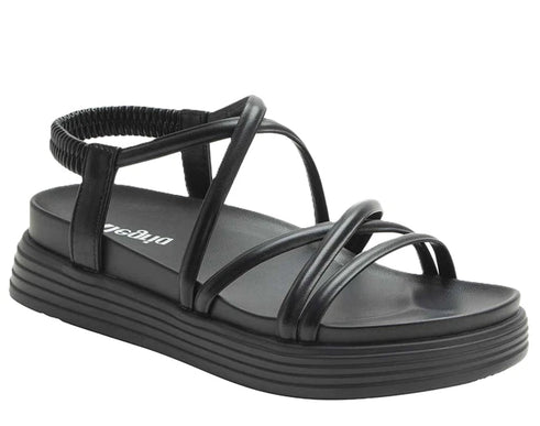 Alegria Audie Caviar Black Leather Strappy Sandal Women sizes EU 36-41 NEW