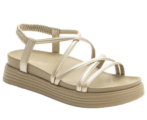 Alegria Audie Champagne Leather Strappy Sandal Women sizes EU 35-42 NEW