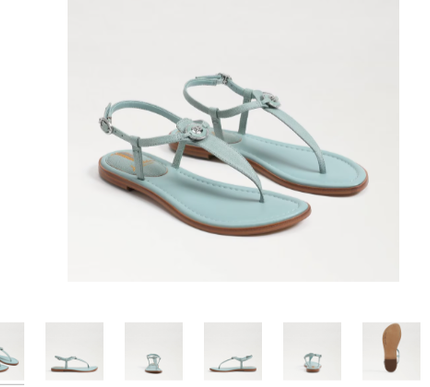 Sam Edelman Gigi Signet Tide Blue Ankle Strap Sandal Womens US sizes 6-10/NIB
