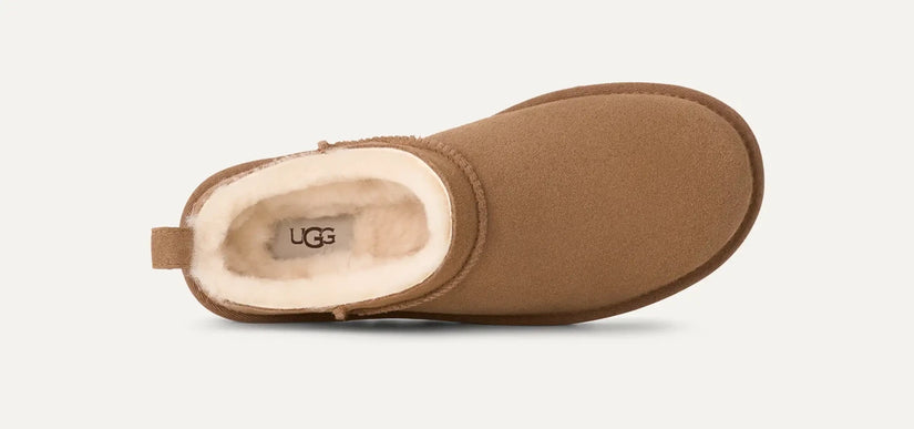 UGG Classic Micro Chestnut Bootie Womens US sizes 5-11/NEW
